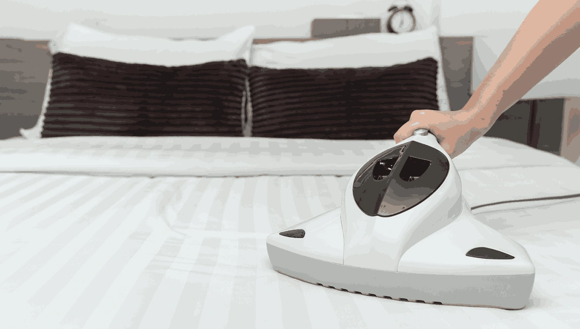 Professional Mattress Cleaning Rippleside